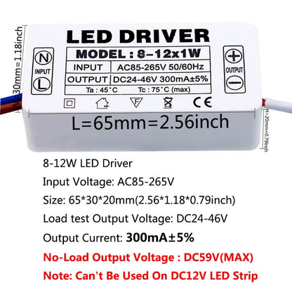 LED Driver 300Ma Constant Current 220V LED Power Supply with Shell Connection Port for 1W~8W 12W 18W 20W 25W 36W LED Accessories