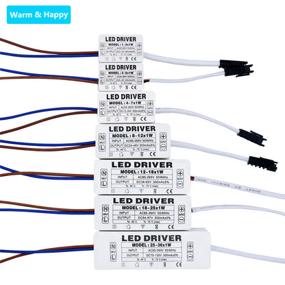 LED Driver 300Ma Constant Current 220V LED Power Supply with Shell Connection Port for 1W~8W 12W 18W 20W 25W 36W LED Accessories